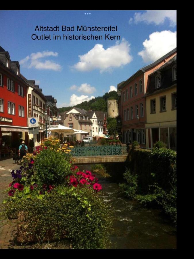 바트 뮌스터아이펠 Wohlfuehloase Am Michelsberg 아파트 외부 사진
